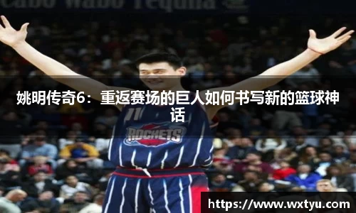 姚明传奇6：重返赛场的巨人如何书写新的篮球神话