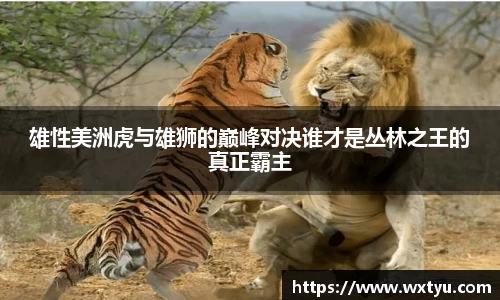 雄性美洲虎与雄狮的巅峰对决谁才是丛林之王的真正霸主